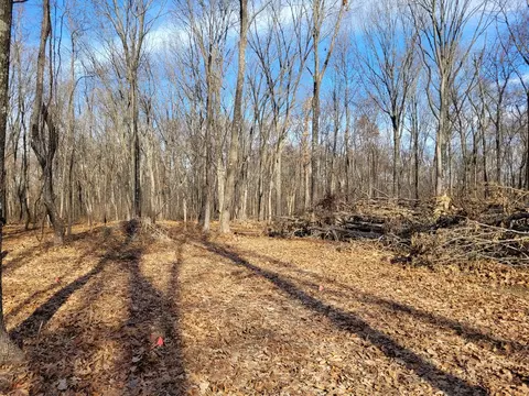 242 State Route 37 Hwy, Kell, IL 62853 photo 6