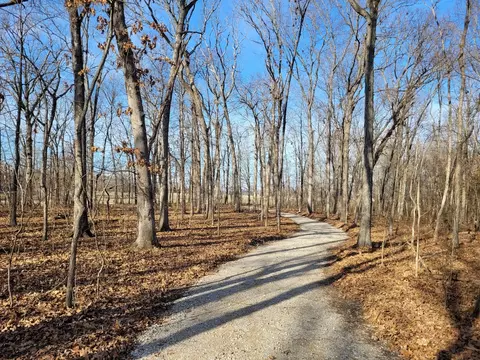 242 State Route 37 Hwy, Kell, IL 62853 photo 12