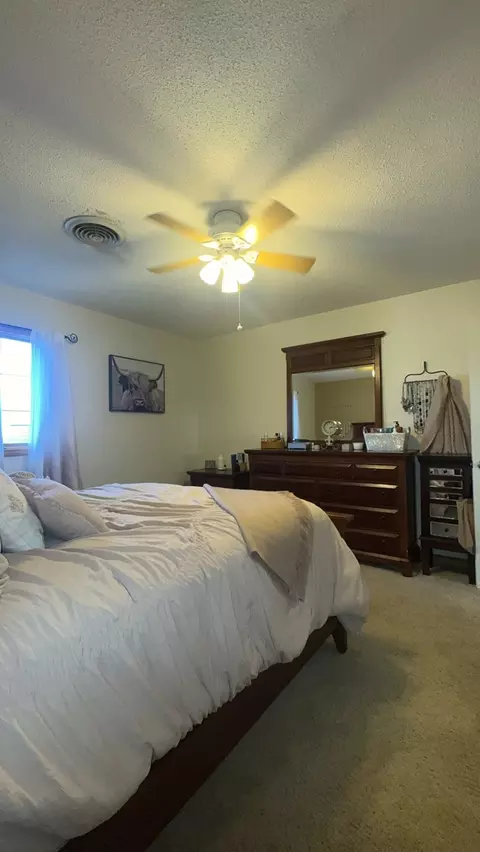 Bedroom - 402 E Belleville Ave, Christopher, IL 62822 photo 2 of 7