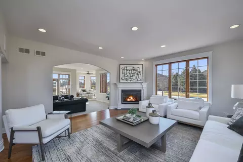 Living - 16109 Gamay Dr, Plainfield, IL 60586 photo 7 of 7