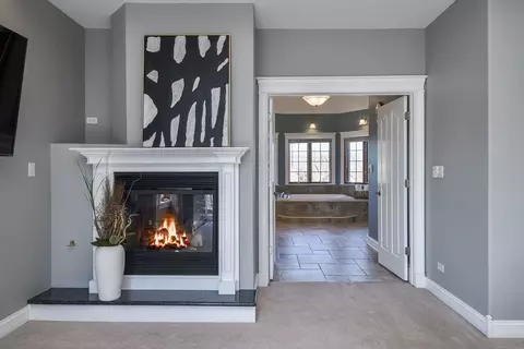 Other - 16109 Gamay Dr, Plainfield, IL 60586 photo 4 of 11