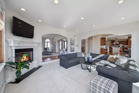 Living - 16109 Gamay Dr, Plainfield, IL 60586 photo 3 of 7