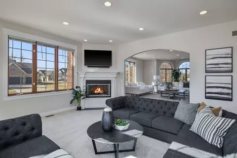 Living - 16109 Gamay Dr, Plainfield, IL 60586 photo 6 of 7