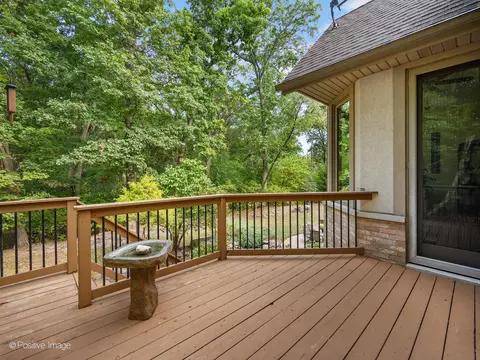 17230 Bluff Rd, Lemont, IL 60439 photo 15