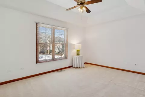 723 Mesa Dr, Naperville, IL 60565 photo 29