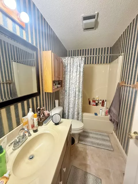 Bath - 3675 Macedonna Ch Rd, Metropolis, IL 62960 photo 2 of 5