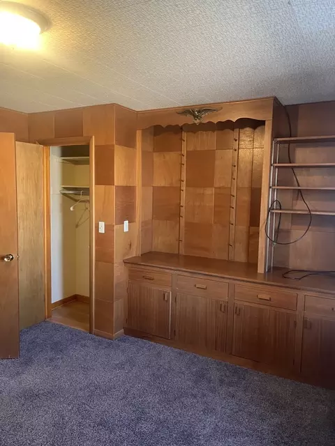 125 W Exchange St, Danvers, IL 61732 photo 38