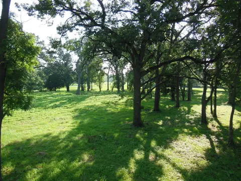 lot1 Royal Fox Dr, Wayne, IL 60184 photo 12