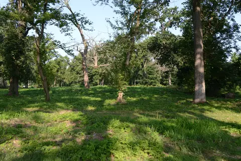 lot1 Royal Fox Dr, Wayne, IL 60184 photo 9