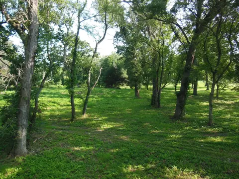 lot1 Royal Fox Dr, Wayne, IL 60184 photo 13