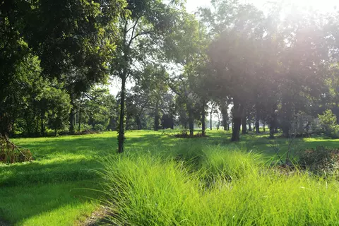lot1 Royal Fox Dr, Wayne, IL 60184 photo 8