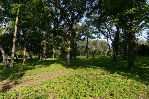 lot1 Royal Fox Dr, Wayne, IL 60184 photo 10