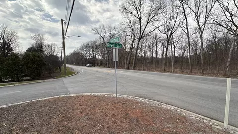 lot1 Royal Fox Dr, Wayne, IL 60184 photo 13