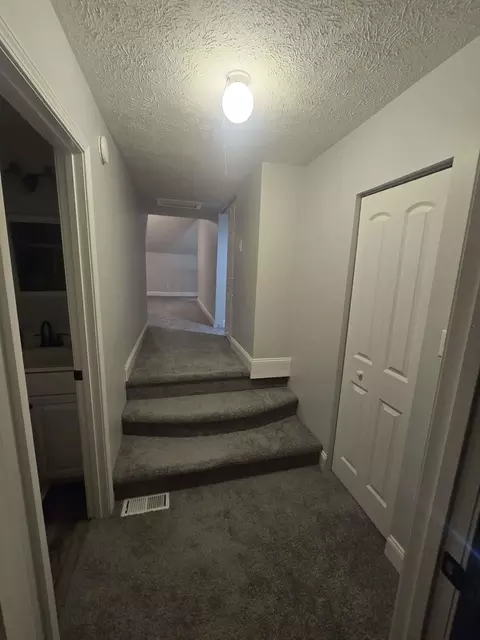 Entry Way - 306 S Thomas St, Christopher, IL 62822 photo 2 of 4