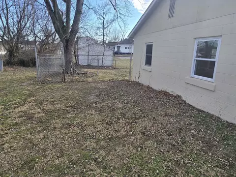 Exterior - 306 S Thomas St, Christopher, IL 62822 photo 10 of 13