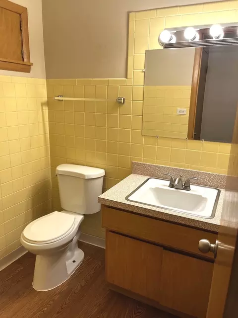 Bath - 664 E 142nd St, Dolton, IL 60419 photo 1 of 2