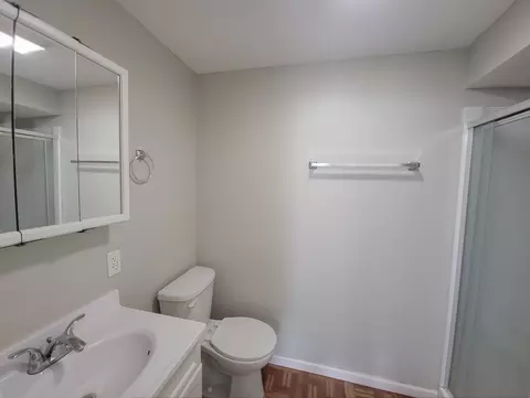 Bath - 6037 Spring Ln, Matteson, IL 60443 photo 2 of 2