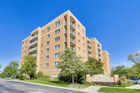 6815 N Milwaukee Ave #707, Niles, IL 60714