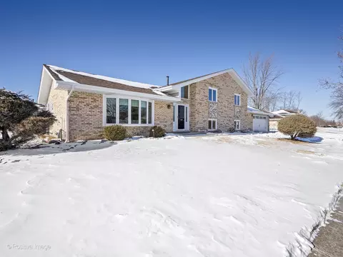 14138 Terry Dr, Orland Park, IL 60462