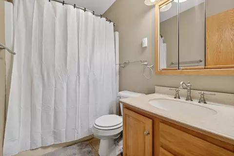 Bath - 295 Vita Ln, Braidwood, IL 60408 photo 2 of 2