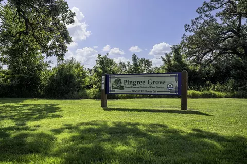 2644 Arrowhead Dr, Pingree Grove, IL 60140 photo 31