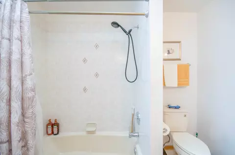 Bath - Undisclosed, Matteson, IL 60443 photo 5 of 8
