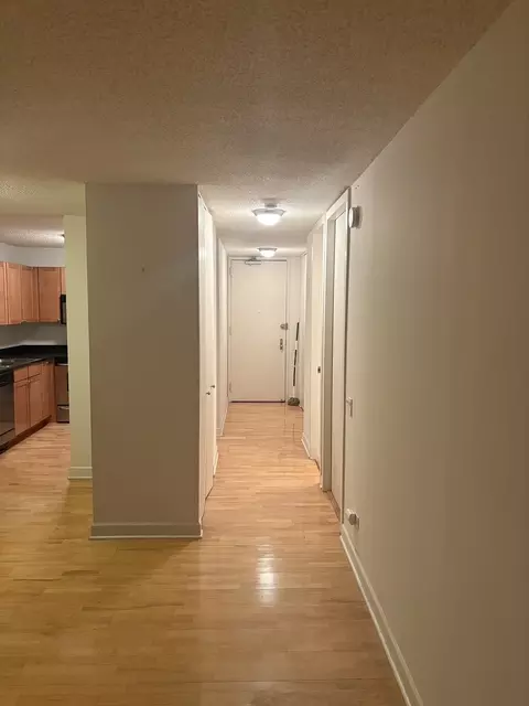 Entry Way - 30 E Huron St #3601, Chicago, IL 60611 photo 1 of 1