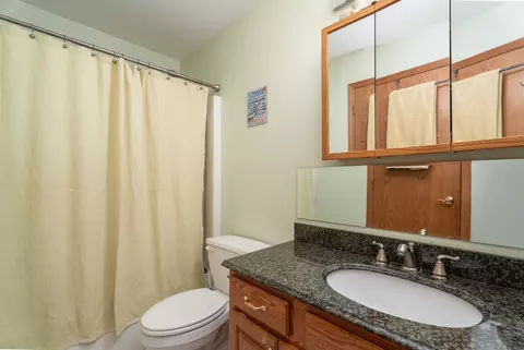 Bath - 604 Mahoney Dr, Minooka, IL 60447 photo 4 of 5