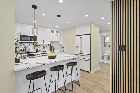 100 E Walton St #14D, Chicago, IL 60611 photo 8