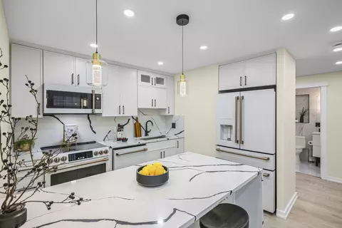 100 E Walton St #14D, Chicago, IL 60611 photo 9
