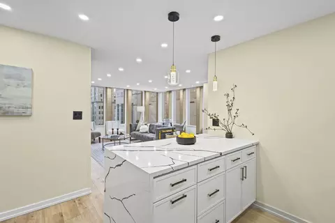 100 E Walton St #14D, Chicago, IL 60611 photo 12