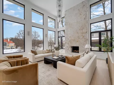 Living - 9427 Falling Waters Dr, Burr Ridge, IL 60527 photo 3 of 9