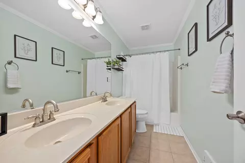 Bath - 13456 Skyline Dr, Plainfield, IL 60585 photo 4 of 5