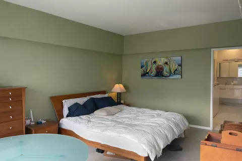 Bedroom - 175 E Delaware Pl #4723, Chicago, IL 60611 photo 3 of 3