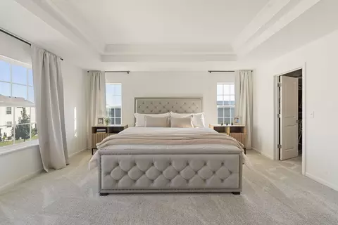 Bedroom - 25220 W Zoumar Dr, Plainfield, IL 60586 photo 2 of 10