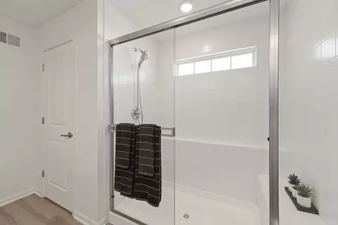 Bath - 25220 W Zoumar Dr, Plainfield, IL 60586 photo 3 of 4