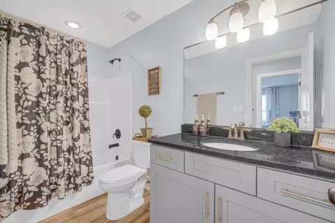 Bath - 4951 W Cardinal Ct, Monee, IL 60449 photo 3 of 4