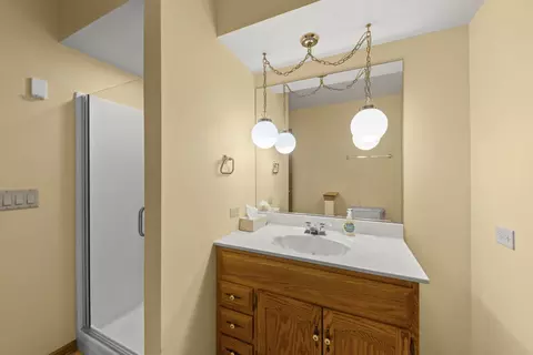 Bath - 524 Meadow Ln, Beecher, IL 60401 photo 4 of 5