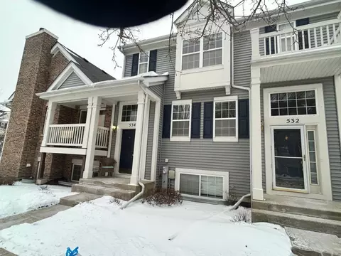 534 Richard Brown Blvd, Volo, IL 60073