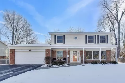 436 N Stark Dr, Palatine, IL 60074