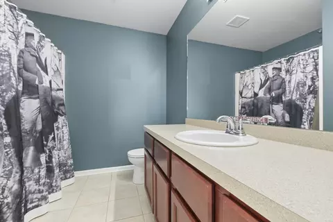 1506 Saddle Run Ln, Beecher, IL 60401 photo 18