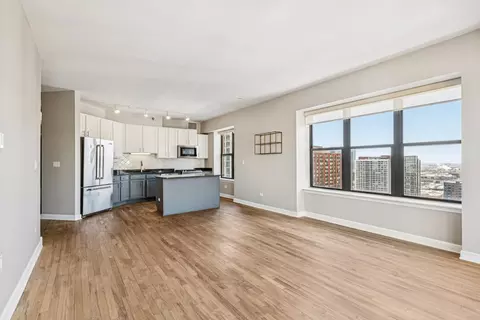 41 E 8th St #2207, Chicago, IL 60605 photo 20