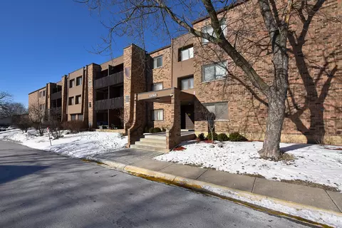 1150 E Randville Dr #1N, Palatine, IL 60074