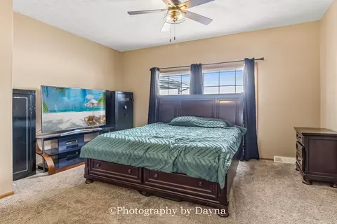 321 S Maple St, Buckingham, IL 60917 photo 13