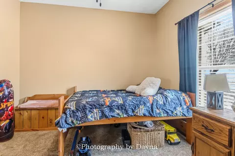 321 S Maple St, Buckingham, IL 60917 photo 24