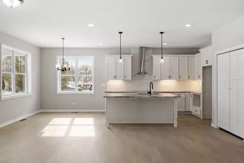 Other - 203 Hickory St, Peotone, IL 60468 photo 1 of 5
