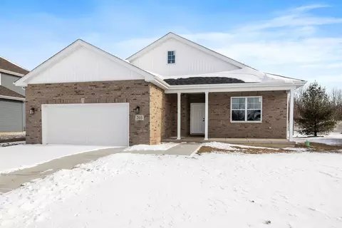203 Hickory St, Peotone, IL 60468