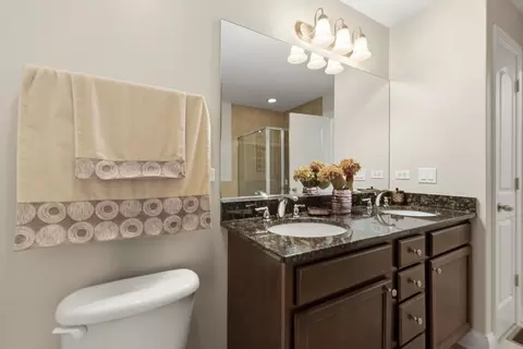Bath - 317 Nicole Way, Itasca, IL 60143 photo 4 of 4