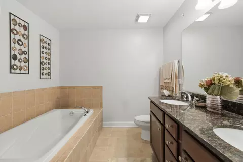 Bath - 317 Nicole Way, Itasca, IL 60143 photo 1 of 4