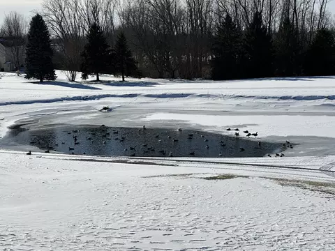 View/Area - 610 Golfers Ln, Bartlett, IL 60103 photo 1 of 1
